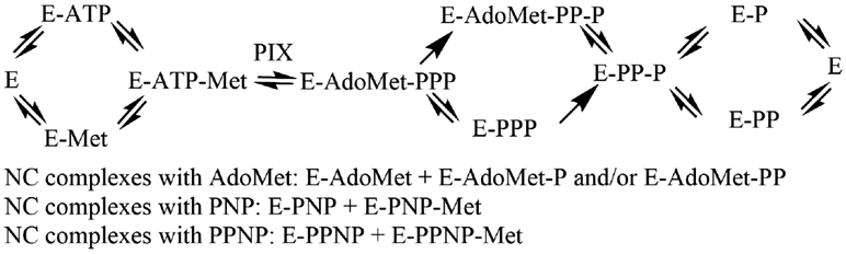 Scheme 2.