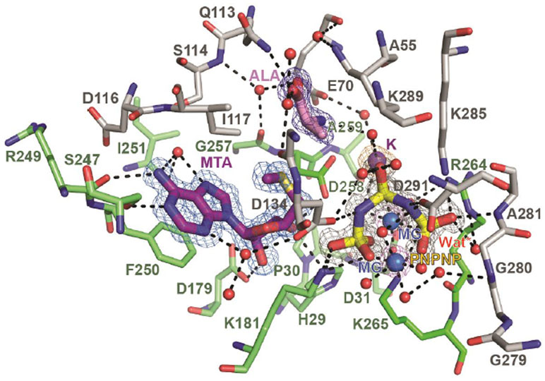 Figure 9.