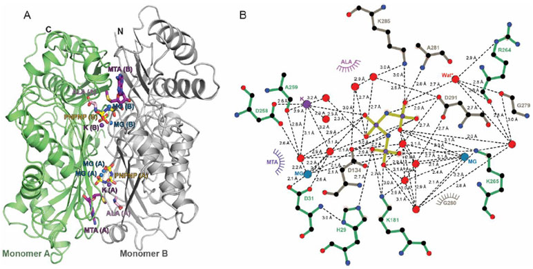 Figure 10.