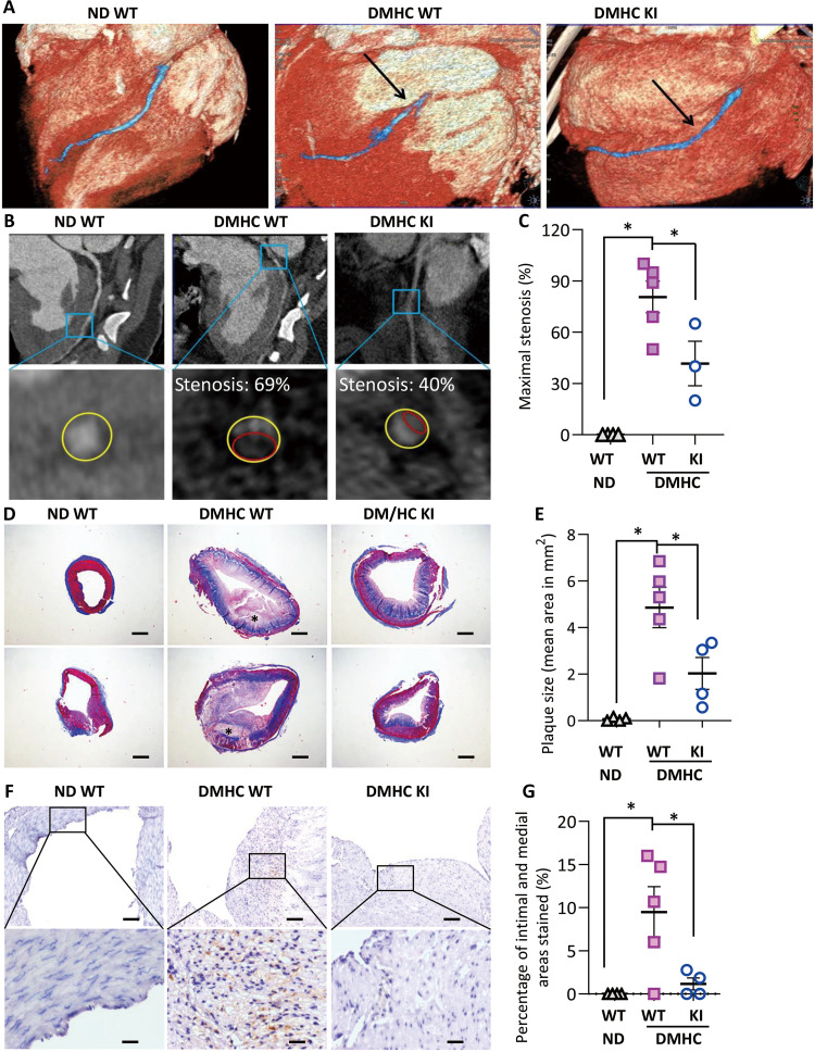 Fig. 8.