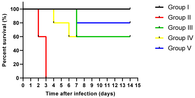 Figure 13