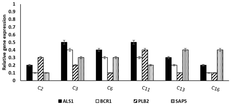 Figure 4