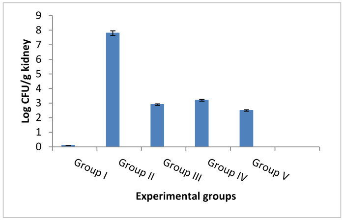 Figure 12