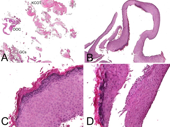 Fig. 2