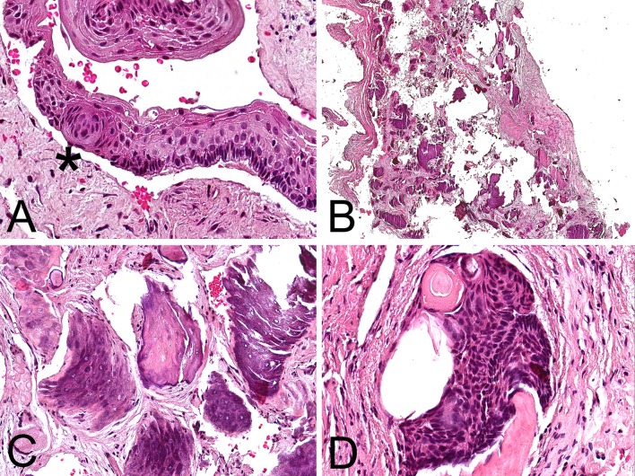 Fig. 4