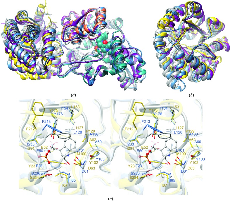 Figure 7