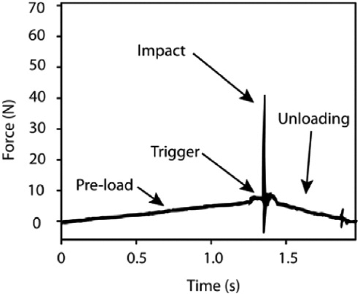 Fig. 2.