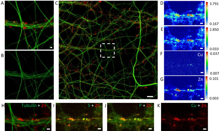 Figure 3—figure supplement 1.