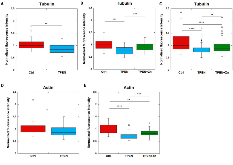 Figure 6—figure supplement 1.