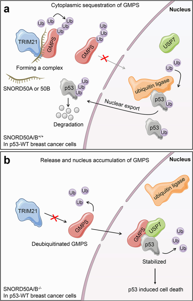 Fig. 7