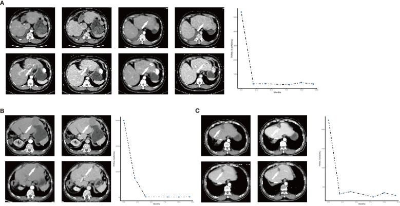 Figure 3