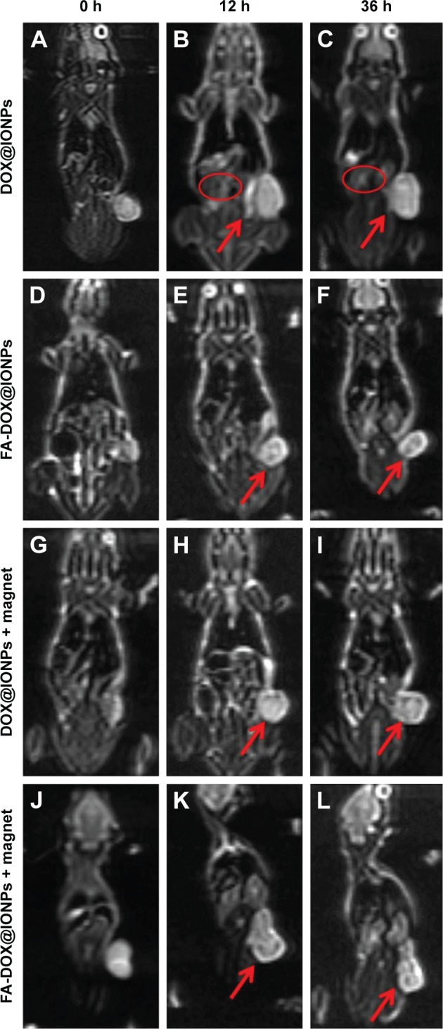 Figure 9