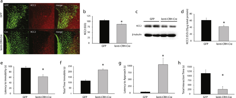 Figure 6: