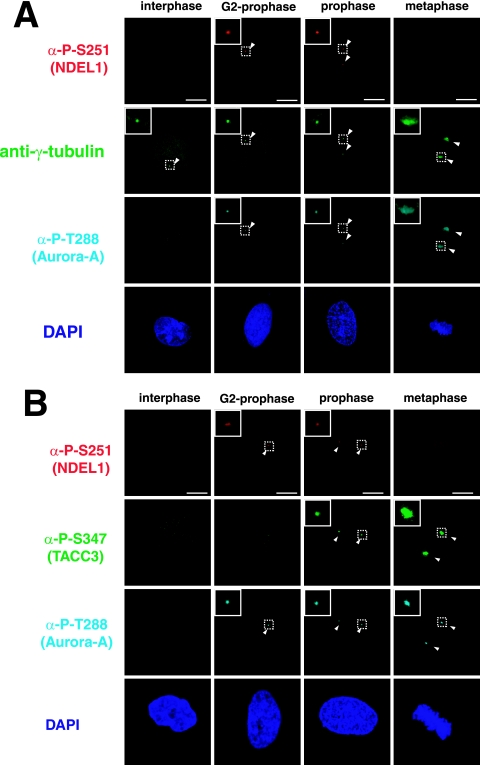 FIG.2.