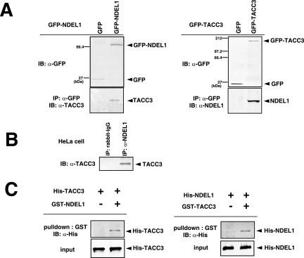 FIG.4.