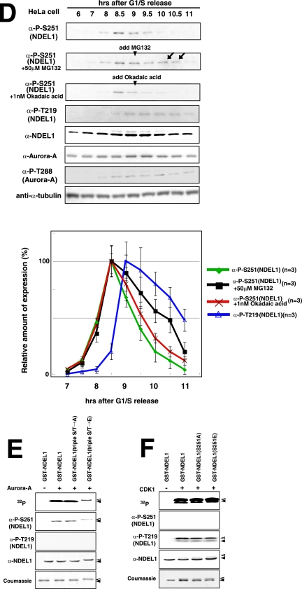 FIG.2.