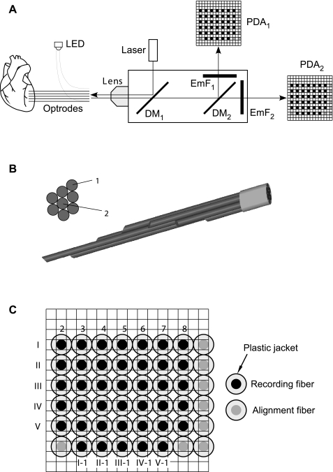 Fig. 1.