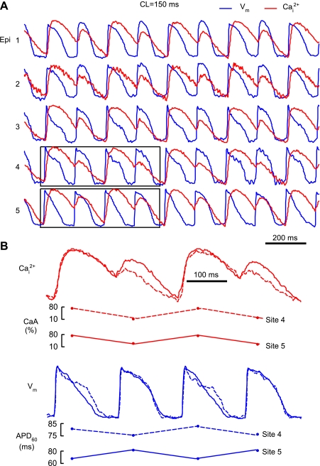 Fig. 4.