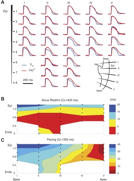 Fig. 2.