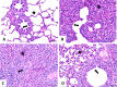 FIG 6