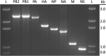 FIG 1