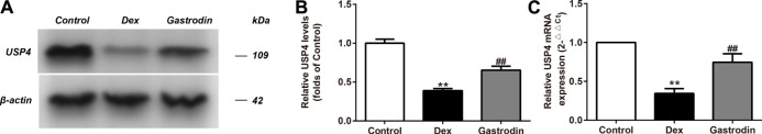 FIGURE 11