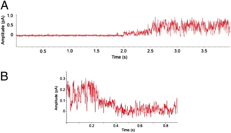 Fig. P1.