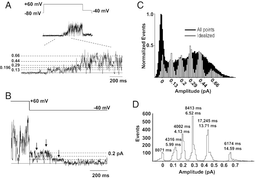 Fig. 4.