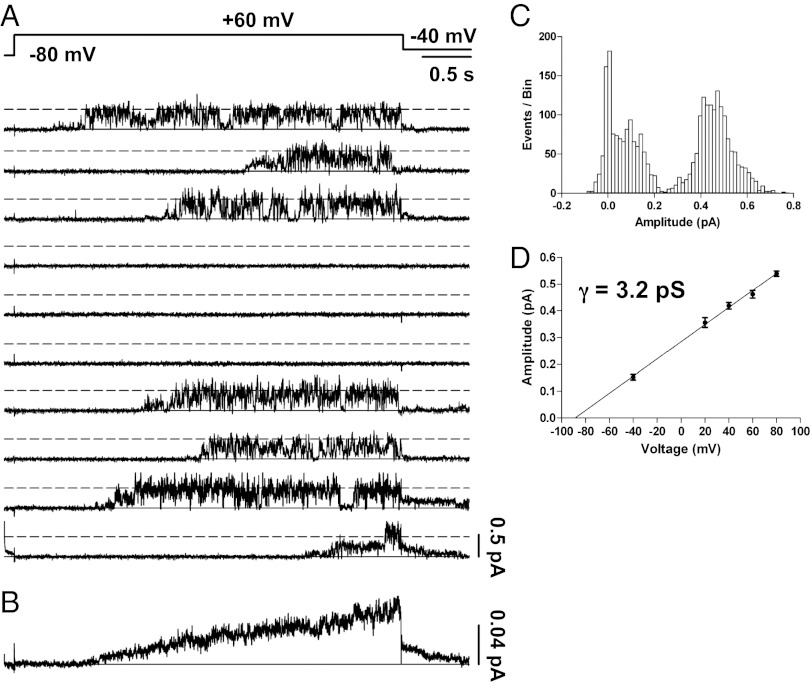 Fig. 1.