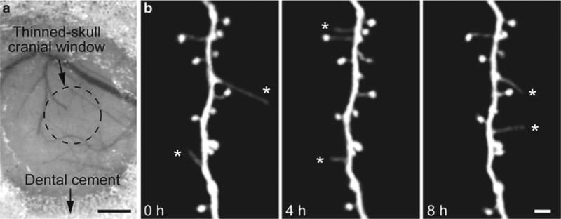 Fig. 2