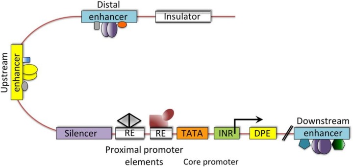 Figure 2.