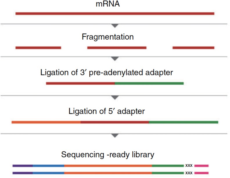 Figure 4.