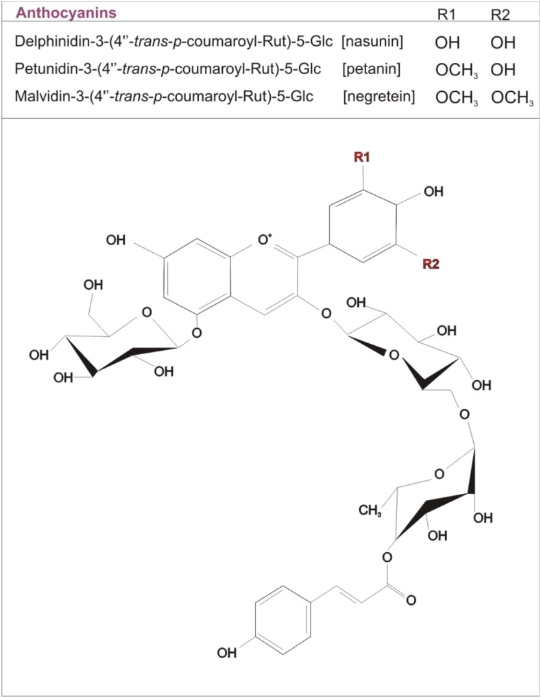 Figure 3.