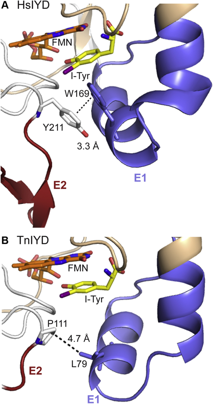 Figure 7