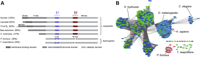 Figure 3
