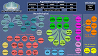graphic file with name HBM-43-15-g001.jpg