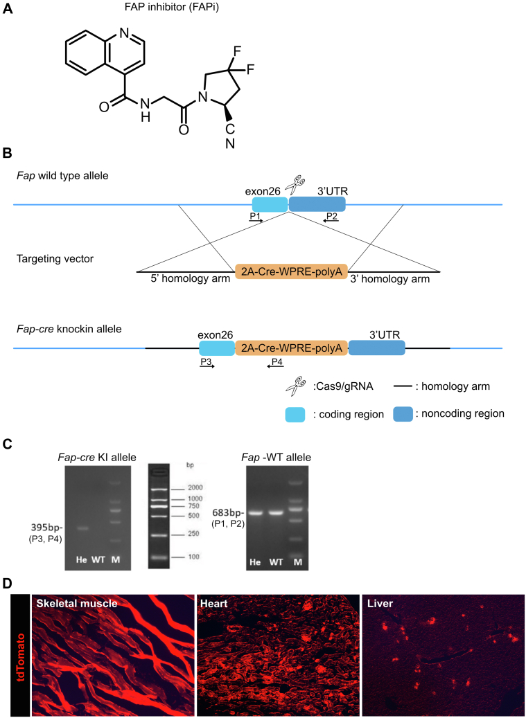 Figure 17