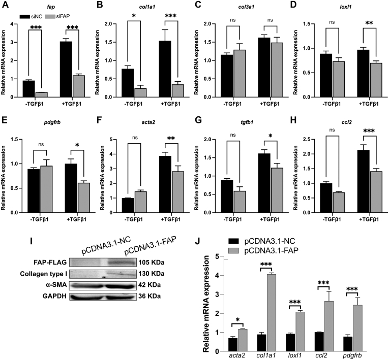 Figure 13