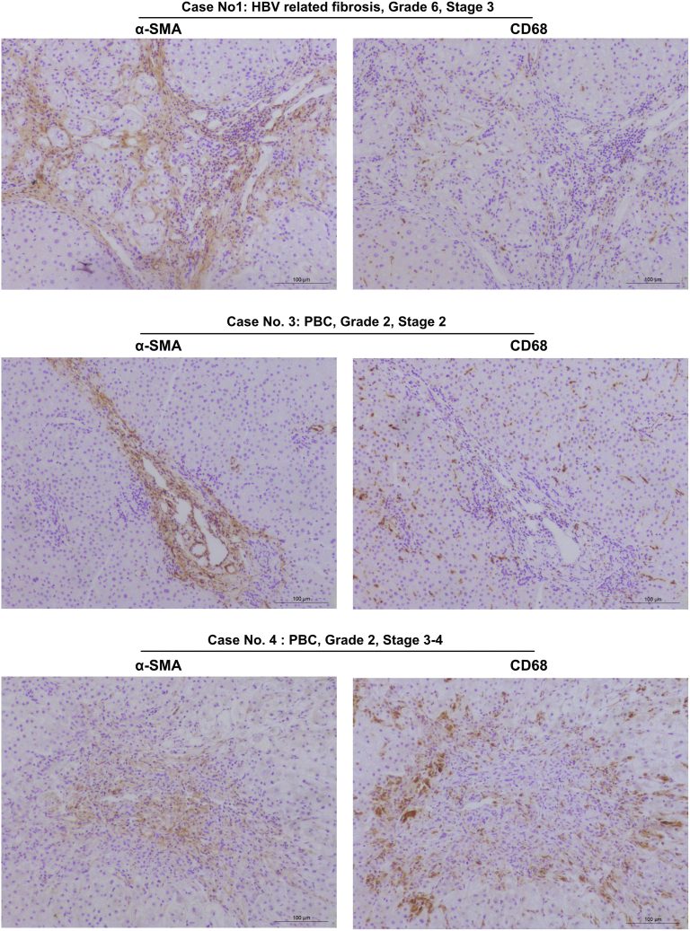 Figure 15