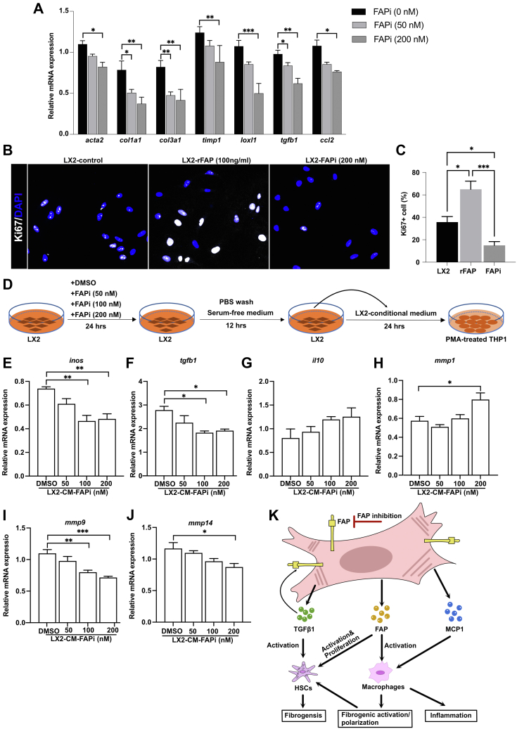 Figure 12