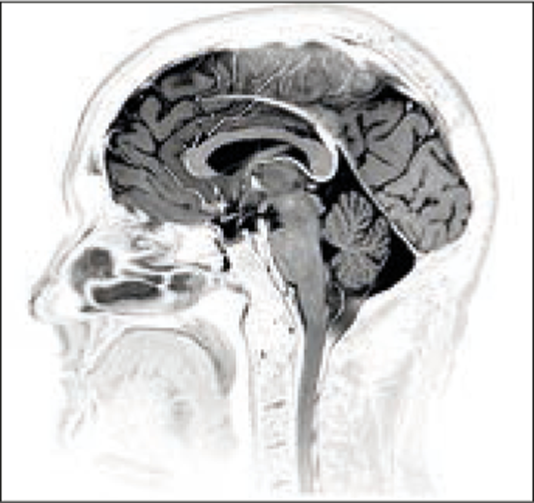 graphic file with name nihms-2045290-f0001.jpg