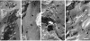 Fig. 4.