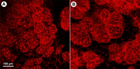 FIG. 7.