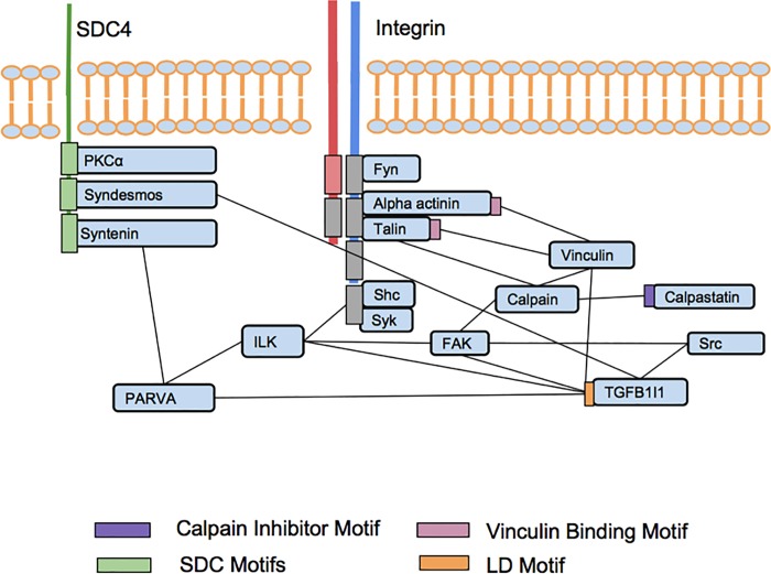 Fig 4