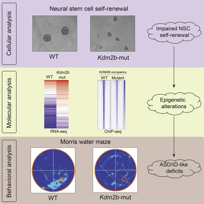 graphic file with name fx1.jpg