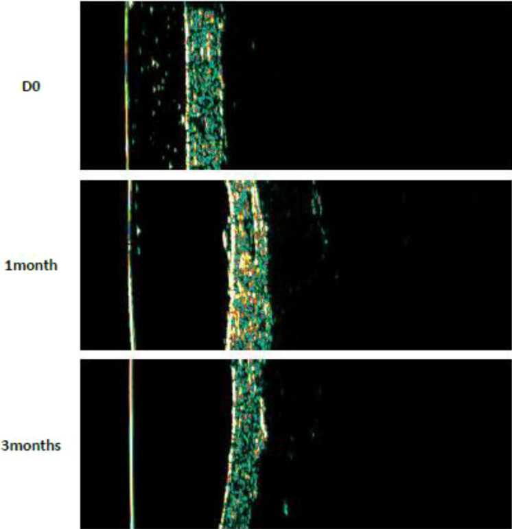 Fig. 7
