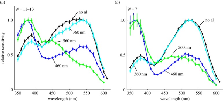 Figure 1.