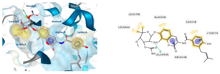 Figure 13