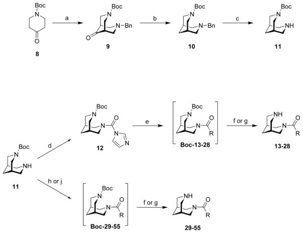 Scheme 2