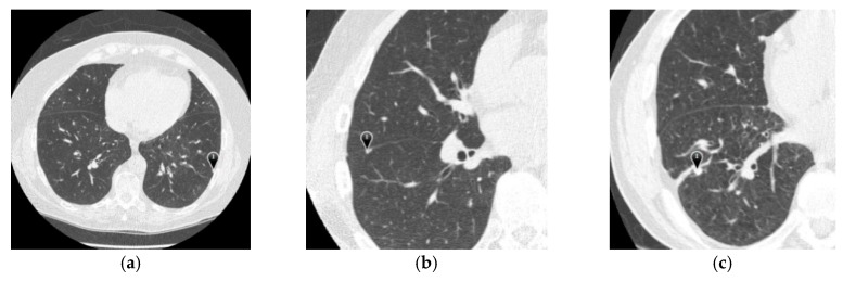 Figure 7